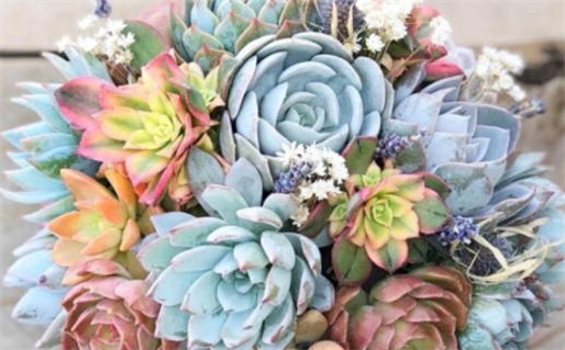 1960年出生的是什么命_1960年出生的是什么命啊?