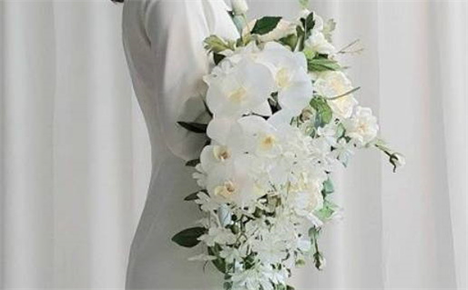 大林木命什么颜色最旺(1988年大林木的幸运色)