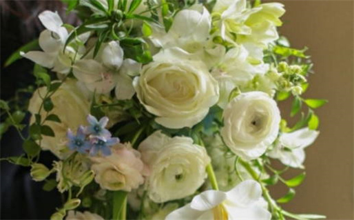 1946年属什么命解析及其性格特点分析