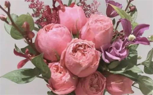 生辰八字五行缺失查询及命相属性分析