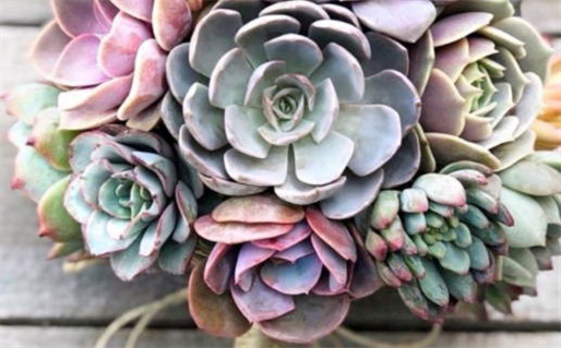 海中金命的女人缺什么_海中金命的女人缺什么身体就会很差