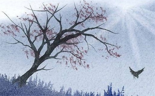 红鸾照命的深意解析与生活启示