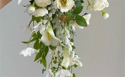 和属鼠女人结婚好吗(和属鼠女人结婚好吗)