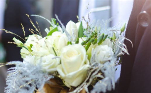 2017年属鸡人的命运分析和特点解读