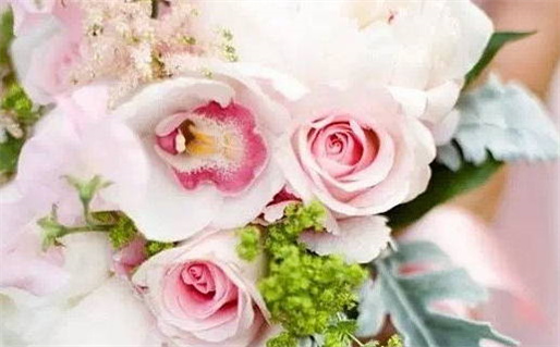 每天黄道吉日吉时查询最佳指南