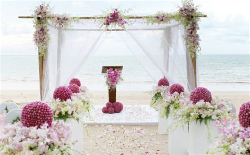 2006年狗的命运解析与运势指南