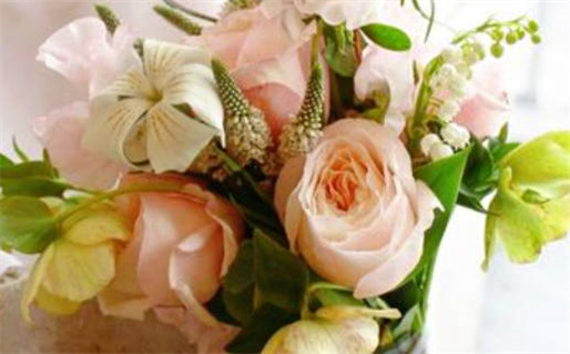 1995年10月出生命运解析与人生方向探讨