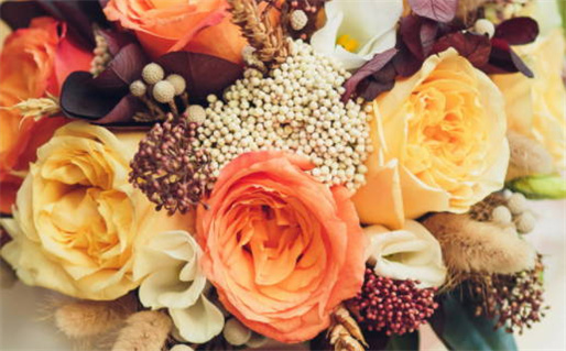 86年是什么命配婚_86年是什么命配婚姻