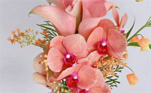 相术文献剖析与研究探索第四章详解