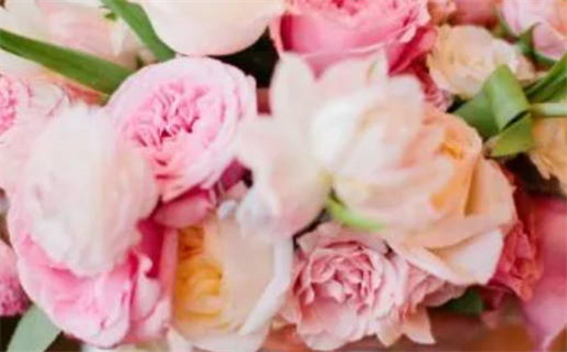 1972年属鼠的人是什么命_1972年属鼠的人是什么命?