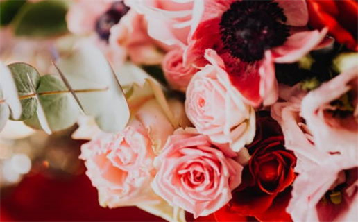 9个斗的女人什么命_9个斗的女人什么命运