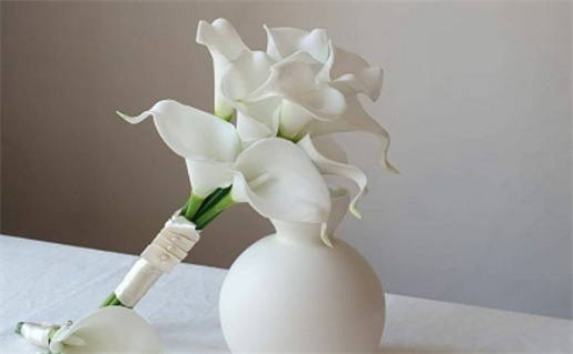 病八字算命揭秘健康命理与运势关系