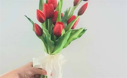 2017生人是什么命(2017年生人是什么命)