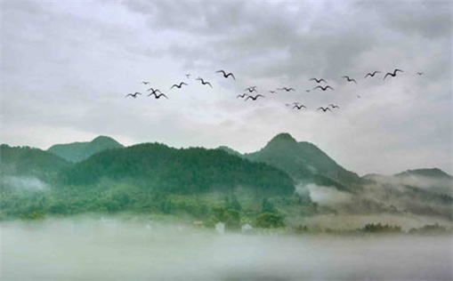 五行生辰八字算命老黄历_五行生辰八字算命老黄历查询