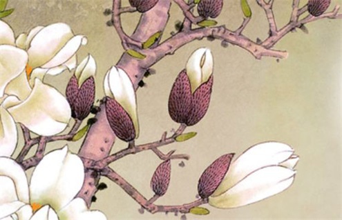 今天2029年05月02日破土老黄历不推荐吗,农历二〇二九年三月十九动土日子