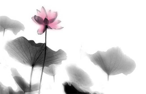 2027年09月01日不适宜动土吗,这天动土合适吗