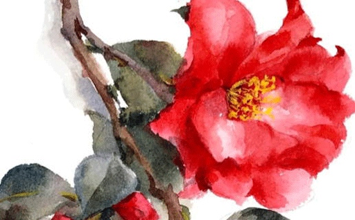 今日2026年09月19日破土老黄历不推荐吗,农历二〇二六年八月初九动土日子