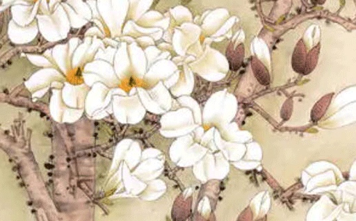 2029年06月05日动土黄历查询