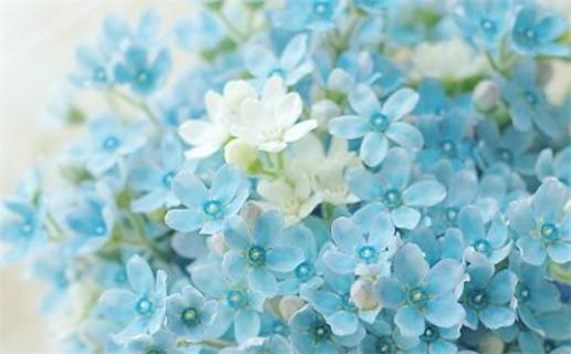 今天2026年12月26日完婚老黄历不适宜吗,农历二〇二六年冬月十八结婚日子