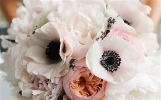 2029年03月06日老黄历适合领证吗