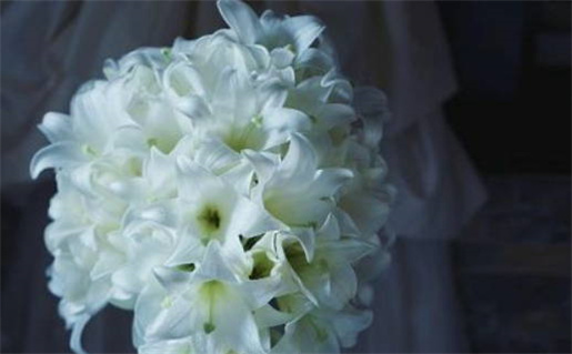 2026年03月27日老黄历适合办理结婚证吗