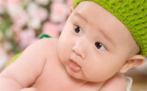 胡姓女宝取名大全：书香气质好听的名字495个