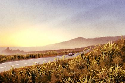 2026年07月17日提车黄历查询 2026年07月17日提车黄历查询