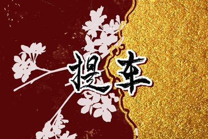 2028年4月27日提车注意事项：适宜活动与忌讳全解析