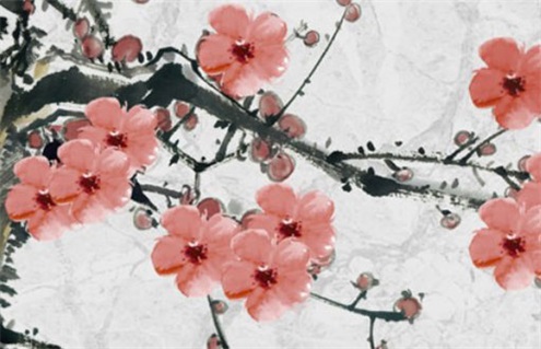 2026年7月26日装修指南：不宜进行的事项与适合的选择